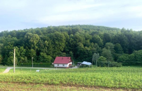 Domek pod lasem, Kańczuga